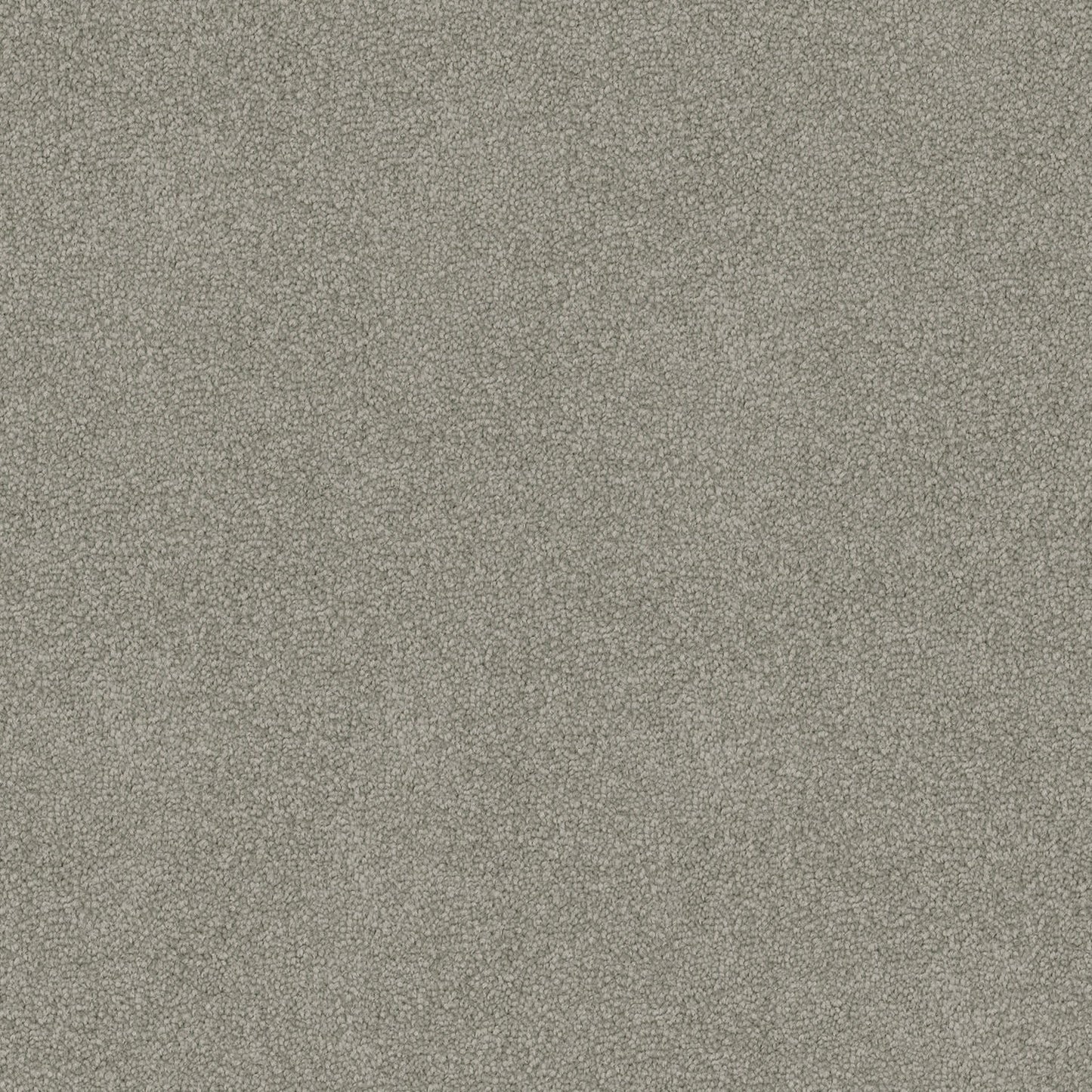 Freedom carpet in Natural Grey