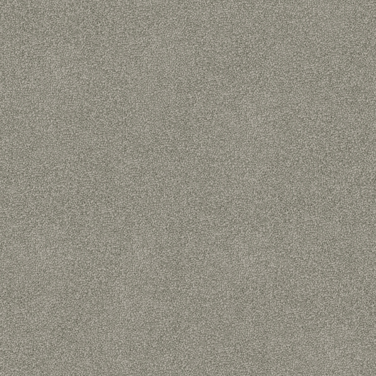 Freedom carpet in Natural Grey