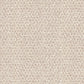Central Valley carpet in Nude Beige