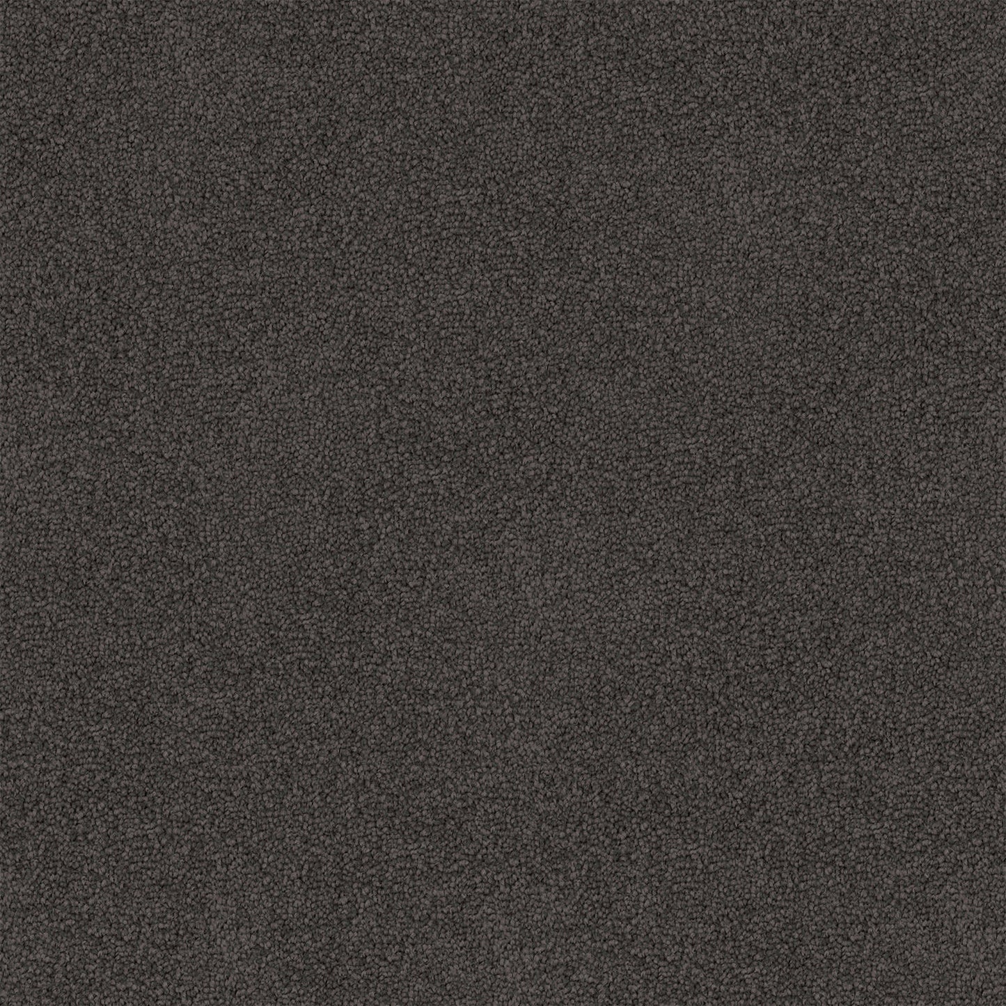 Mountain Chalet carpet in Chimney Haze