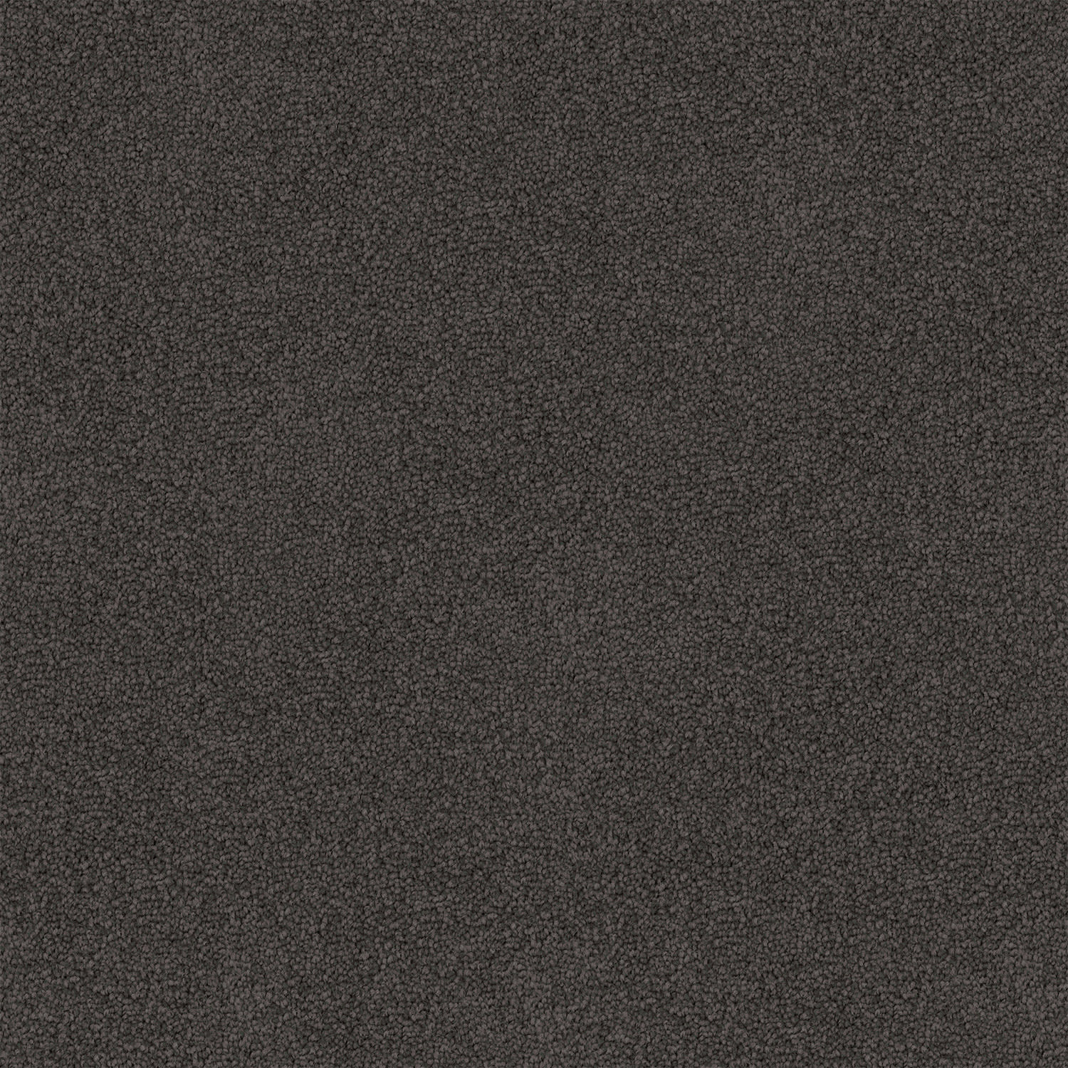 Mountain Chalet carpet in Chimney Haze