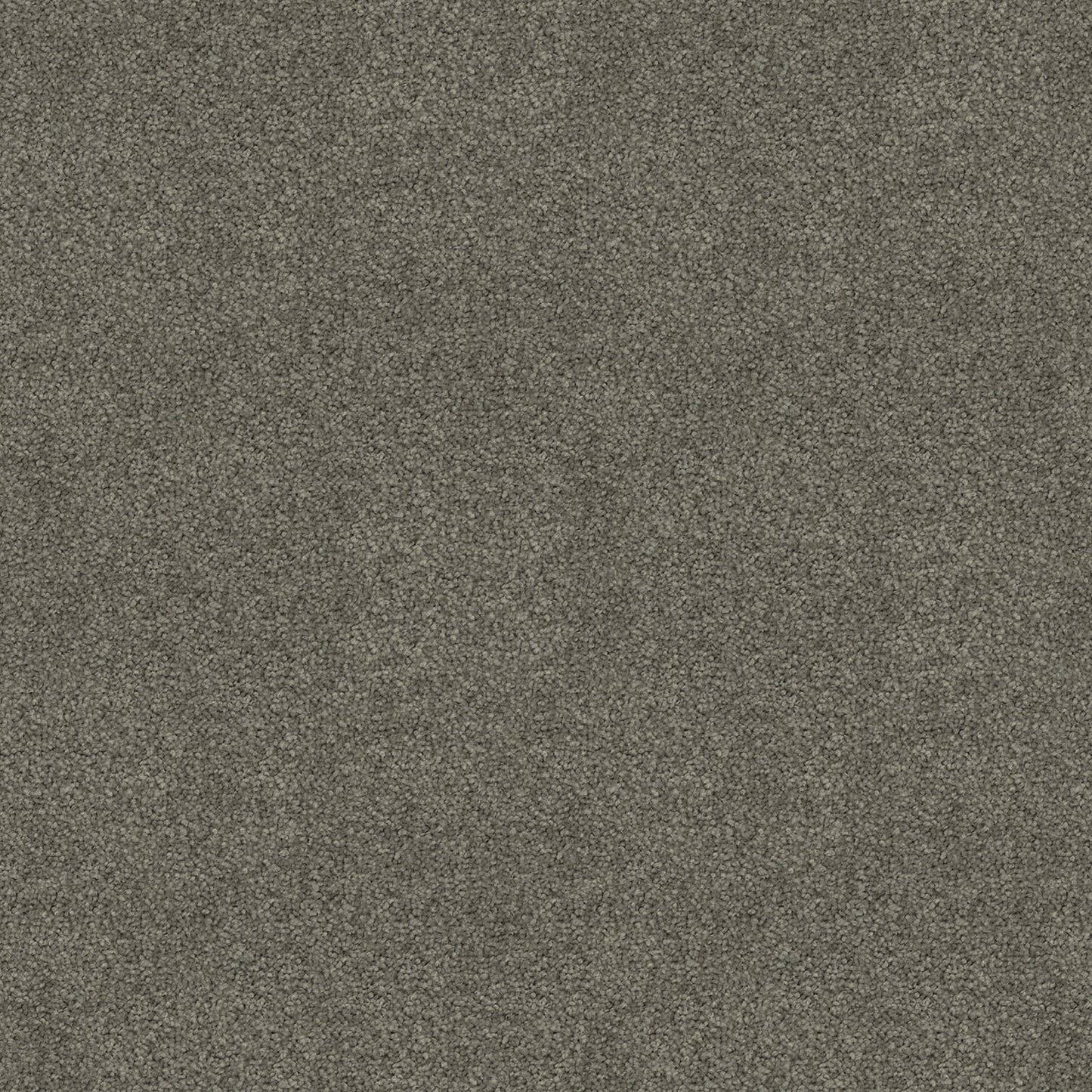 Silk Cloud carpet in Clay Stipple