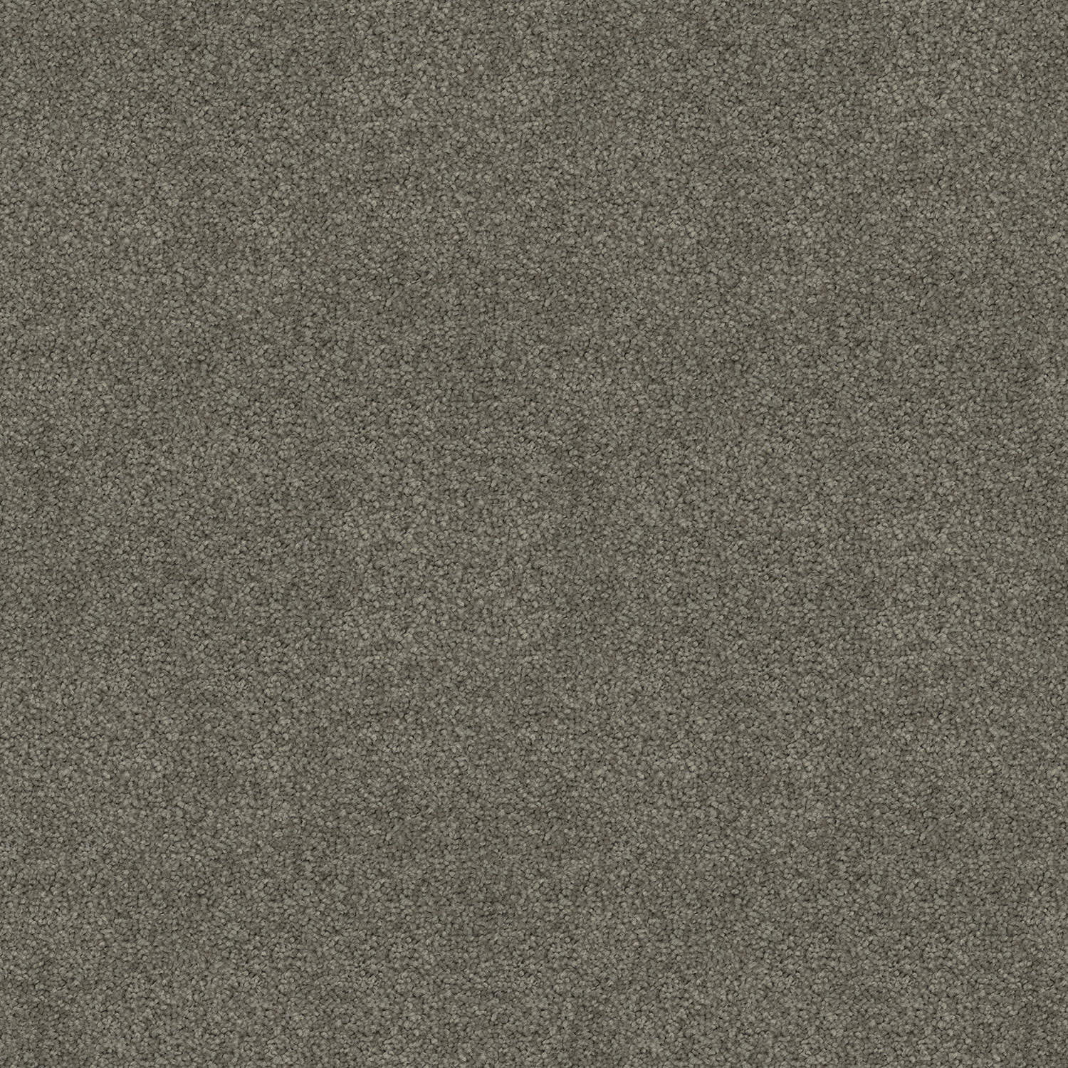 Silk Cloud carpet in Clay Stipple