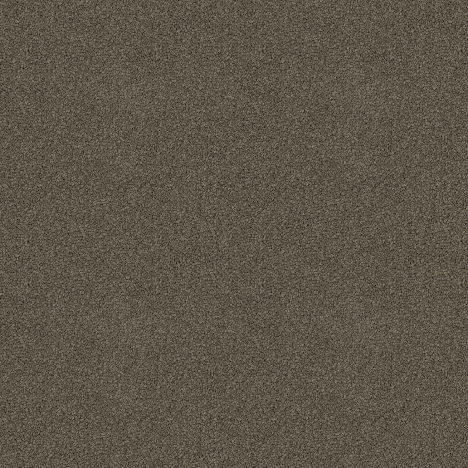 Skyway carpet in Sand Storm