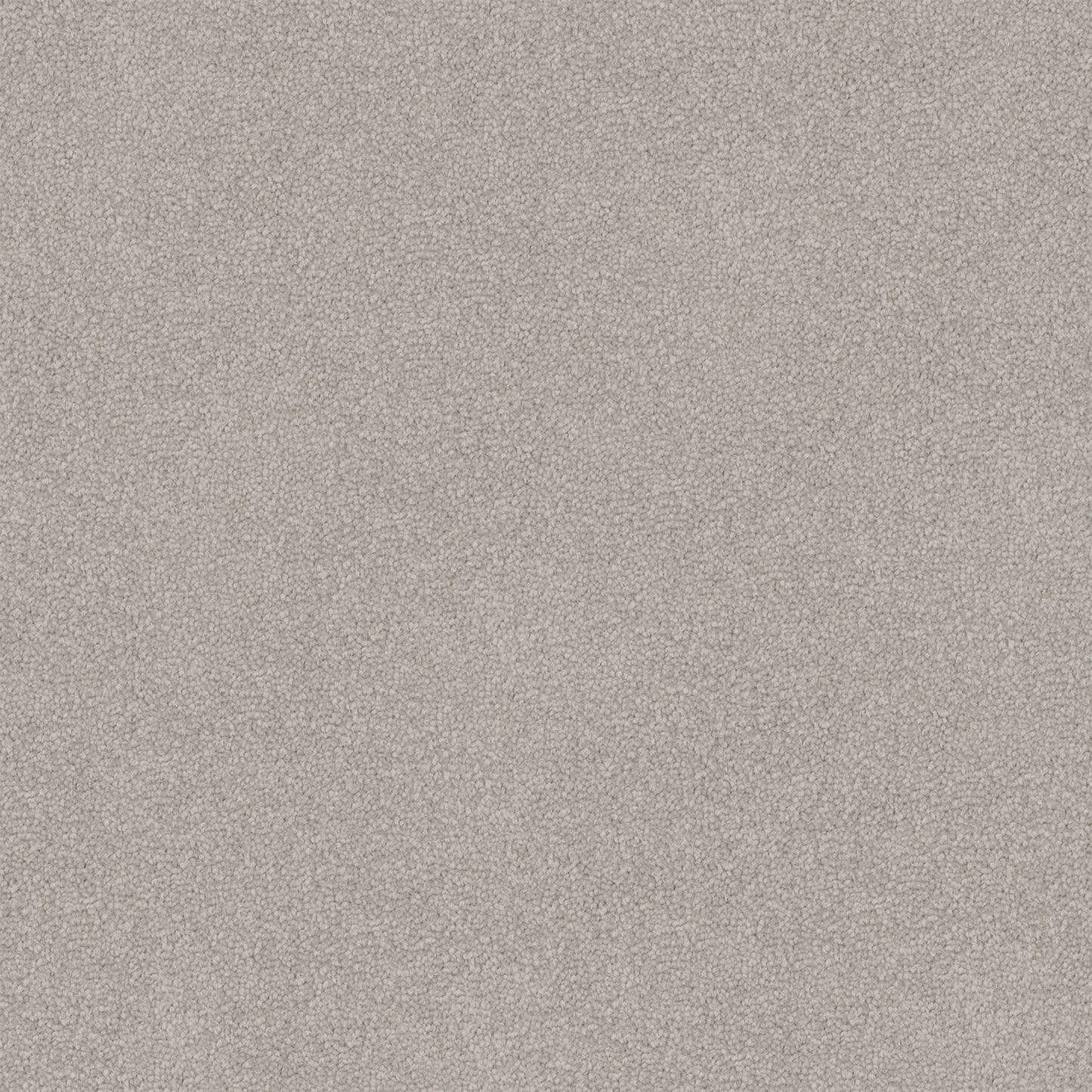 Infatuation carpet in Seattle Fog