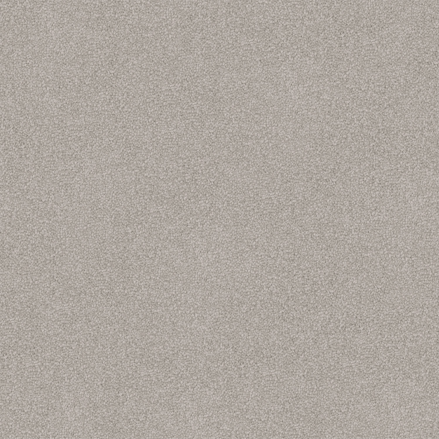 Infatuation carpet in Seattle Fog
