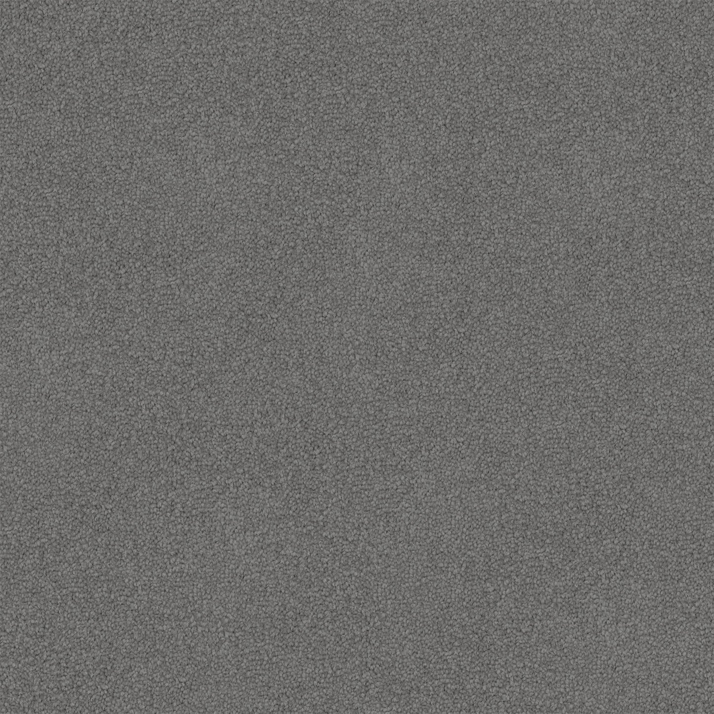 Infatuation carpet in Deep Fossil