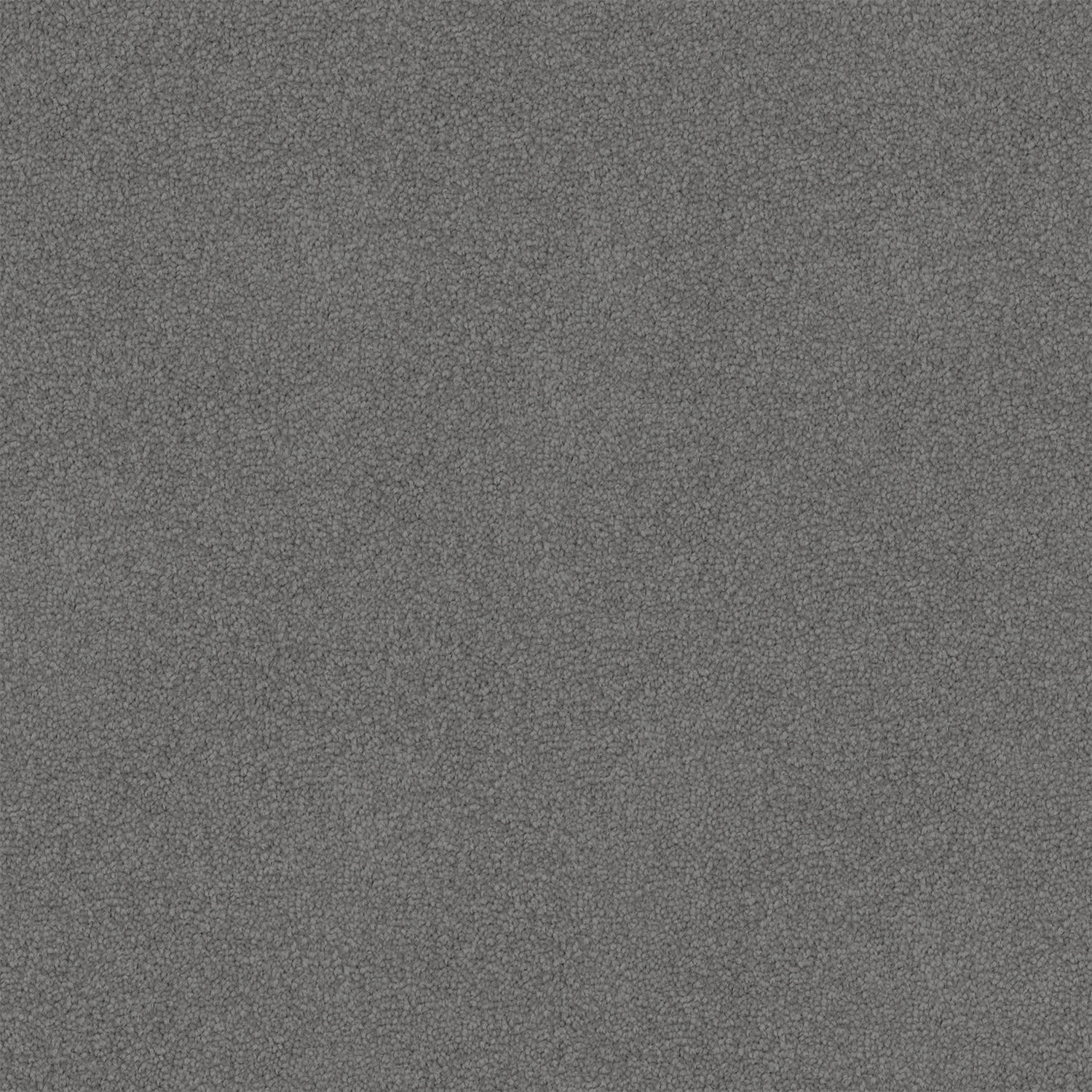Infatuation carpet in Deep Fossil