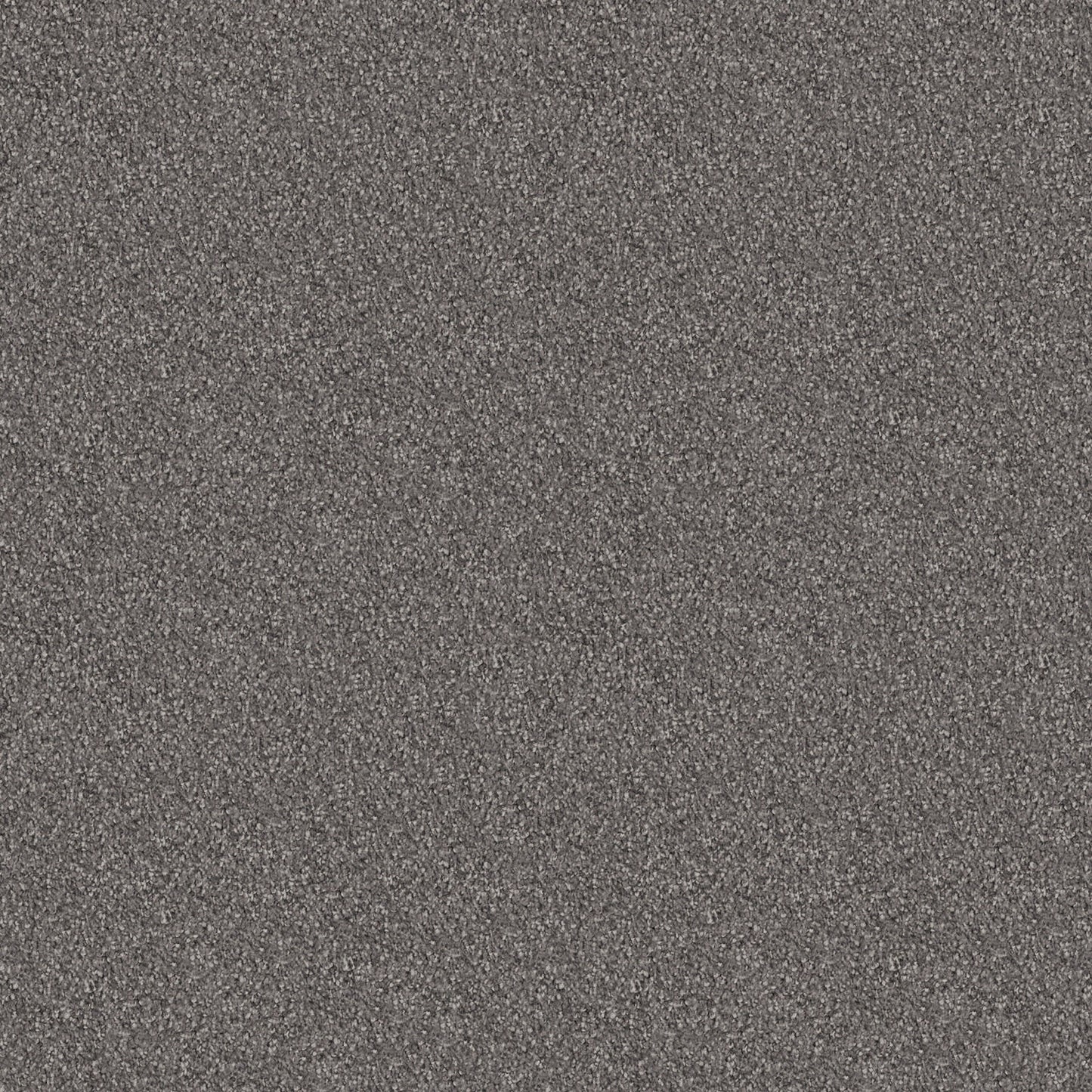 Velura carpet in Starry Night