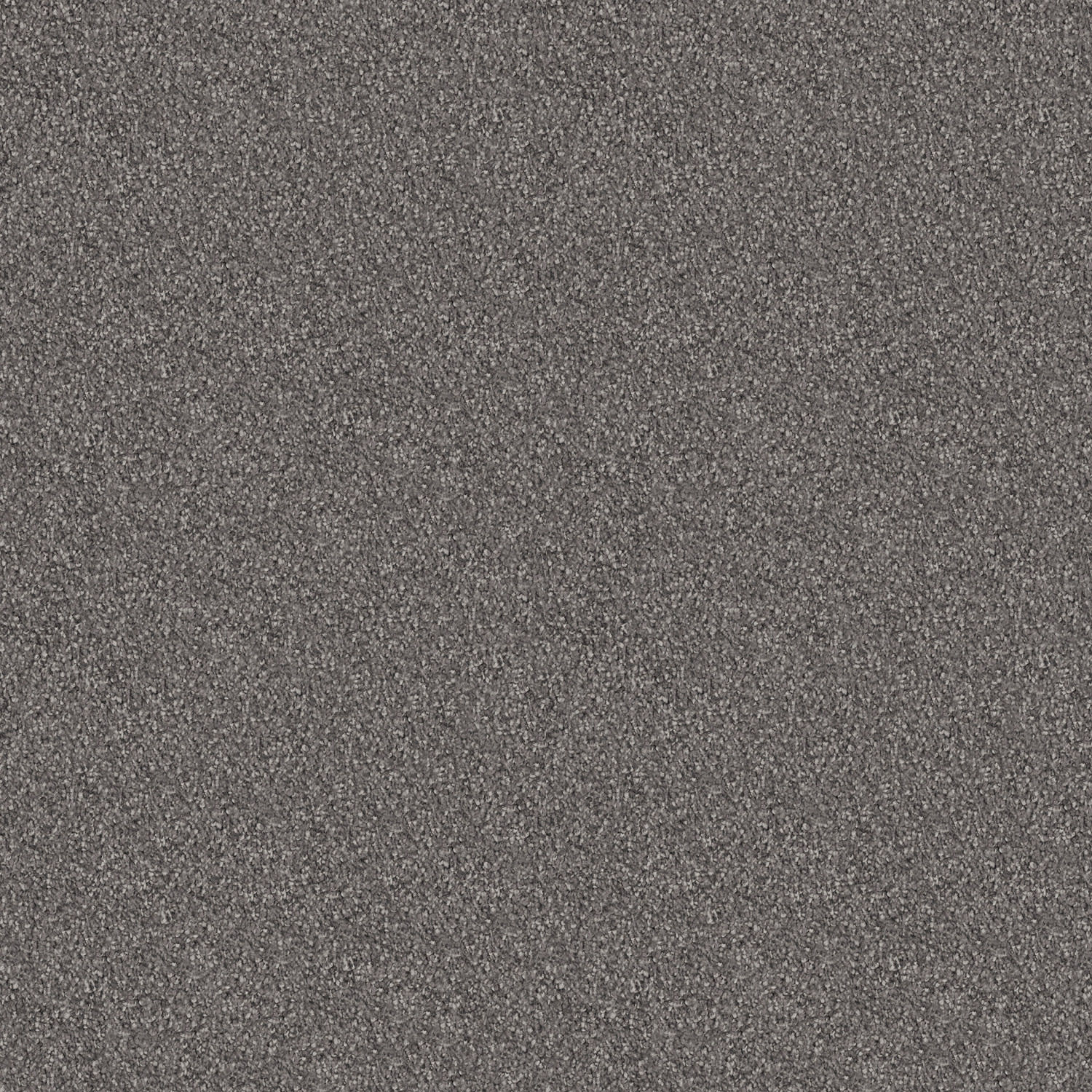 Velura carpet in Starry Night
