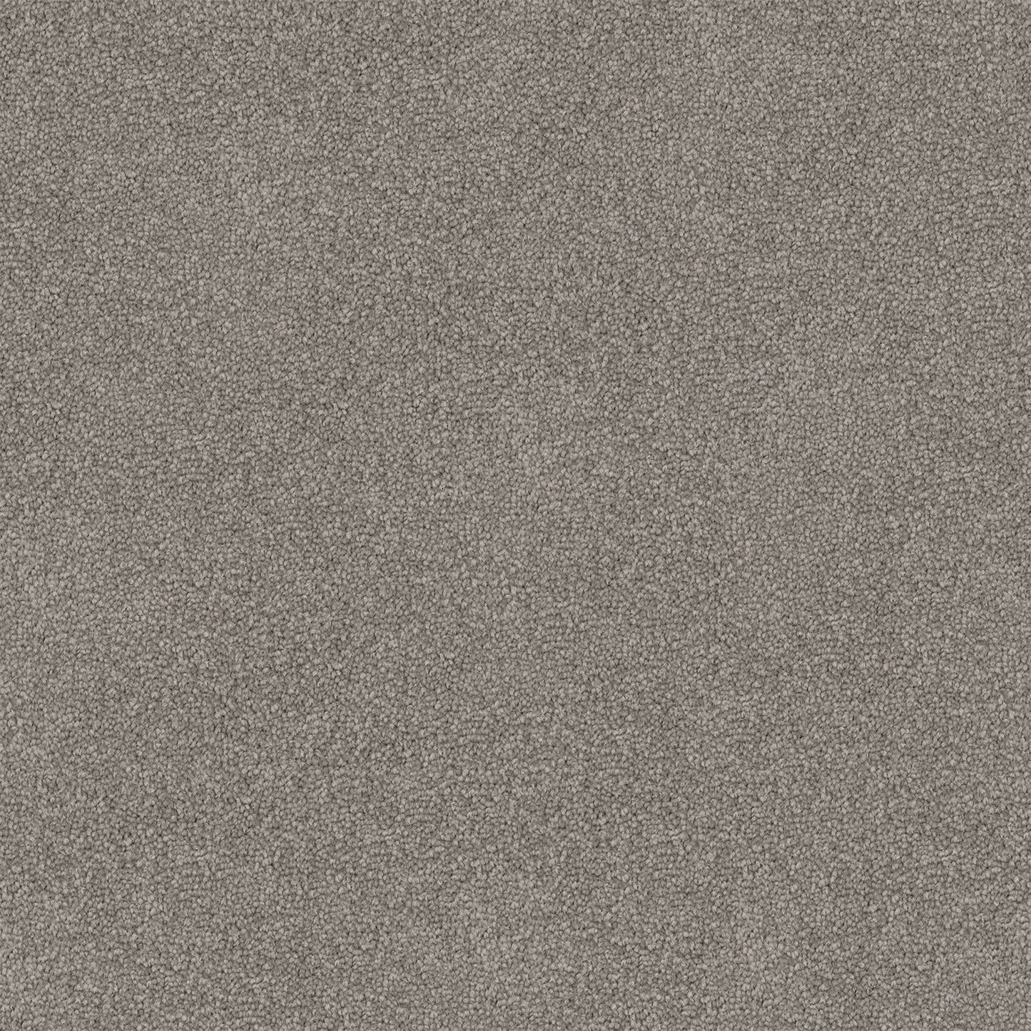 Dawn Rise carpet in Wood Ash