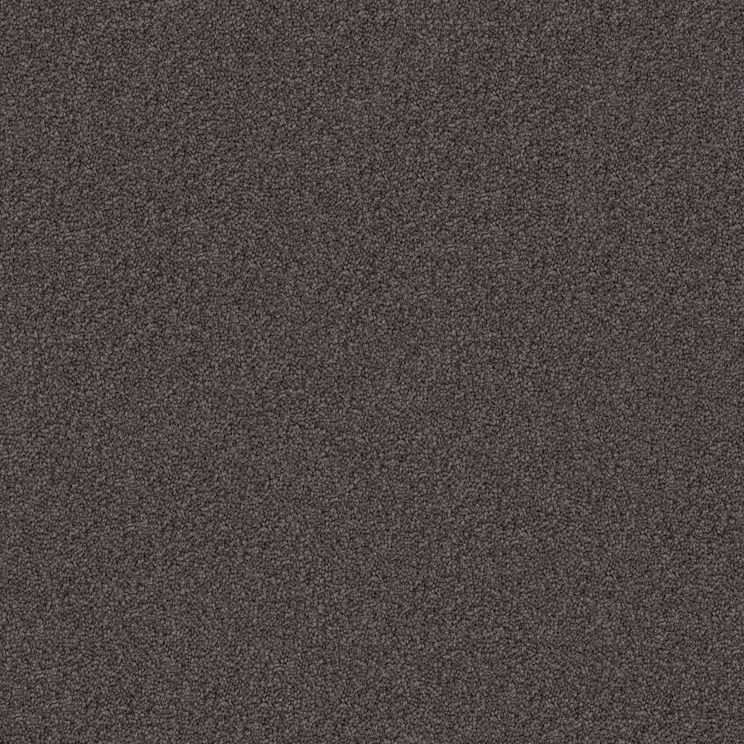 Domain Rise carpet in Dark Shades