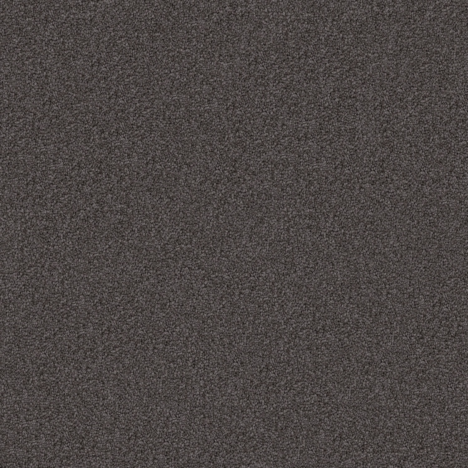 Domain Rise carpet in Dark Shades