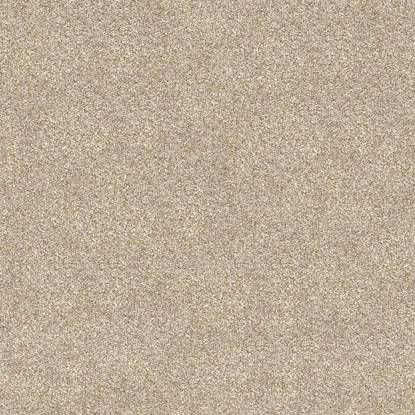 Domain Rise carpet in Vanilla Almond
