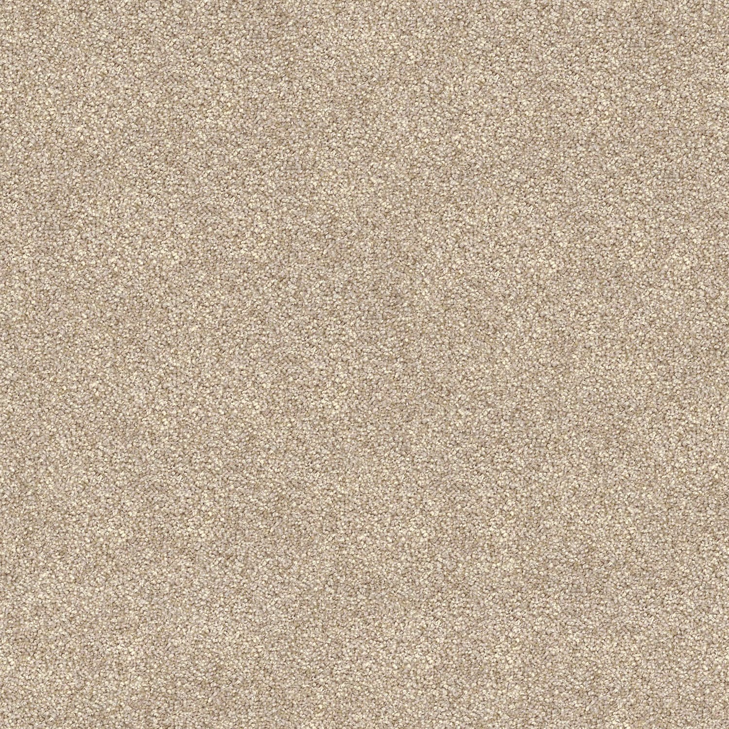 Domain Rise carpet in Vanilla Almond