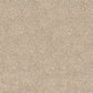 Domain Rise carpet in Vanilla Almond