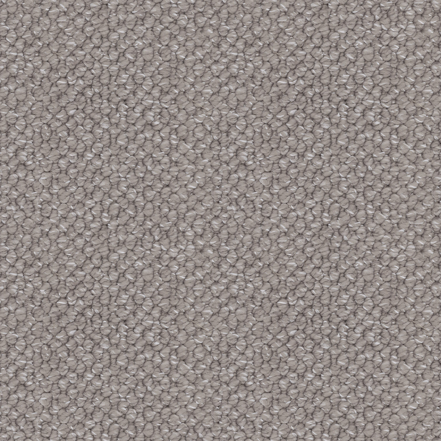 Finesse carpet in Tailored