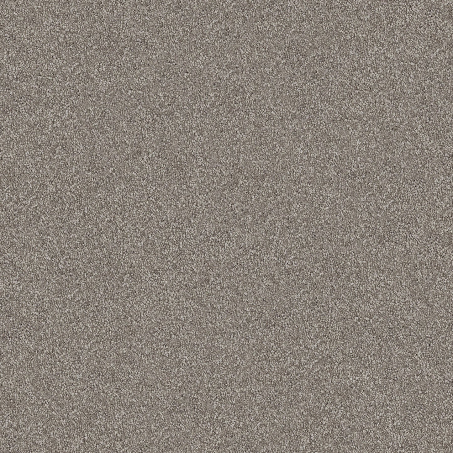 Velura carpet in Stony Path