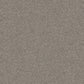 Velura carpet in Stony Path
