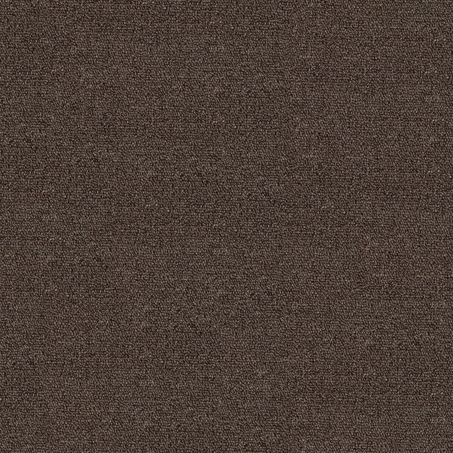 Kings Domain carpet in Gesture