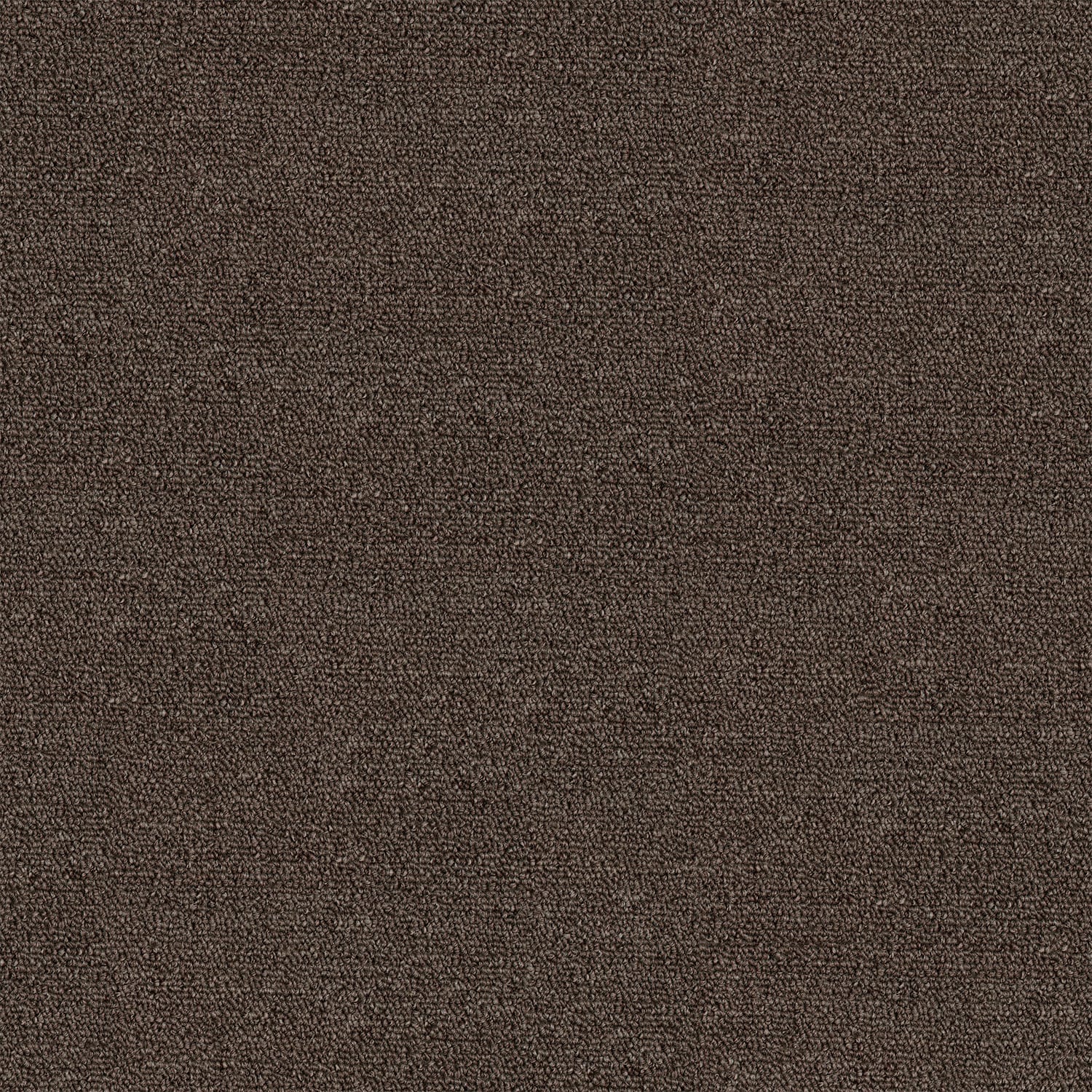 Kings Domain carpet in Gesture
