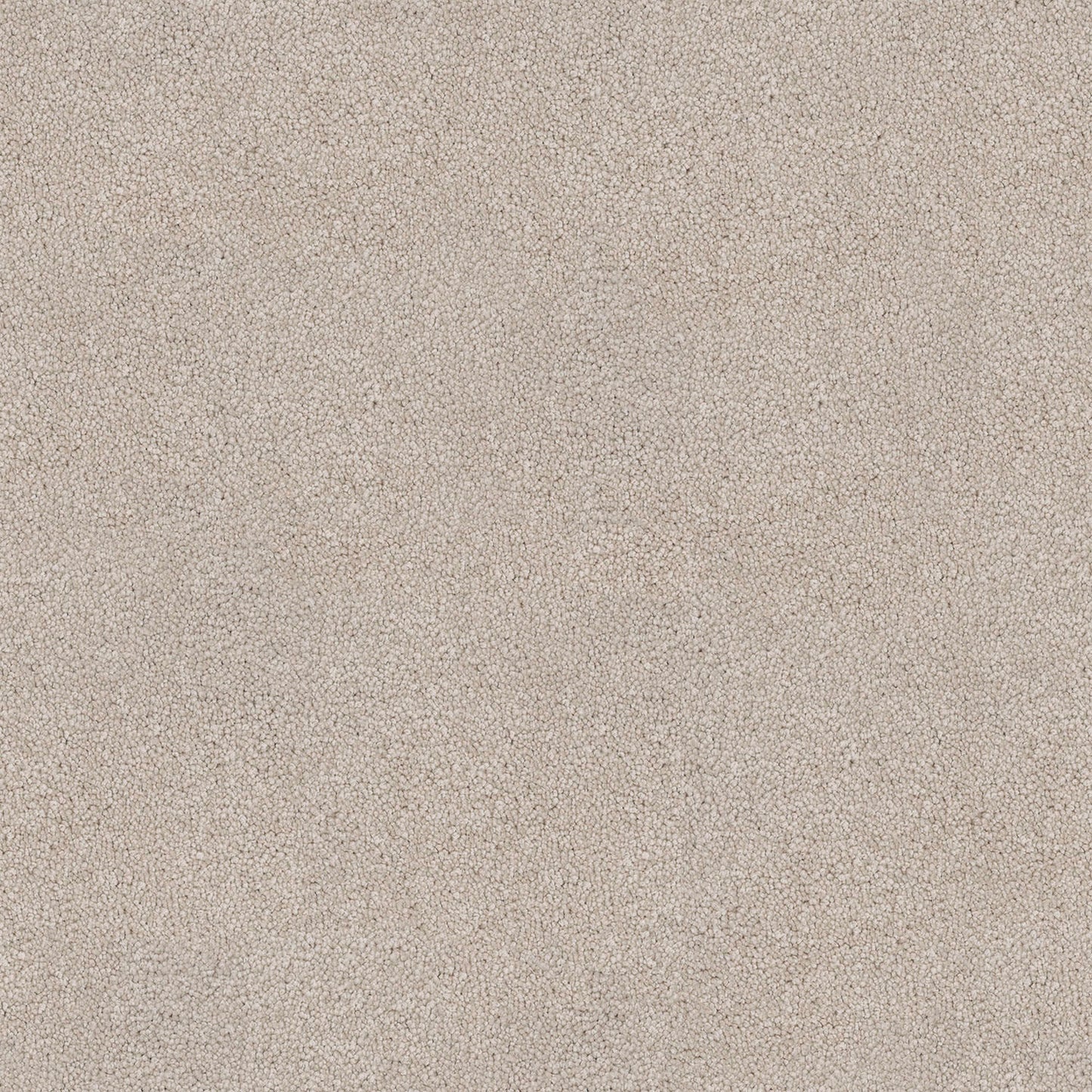 Coonawarra carpet in Cloud