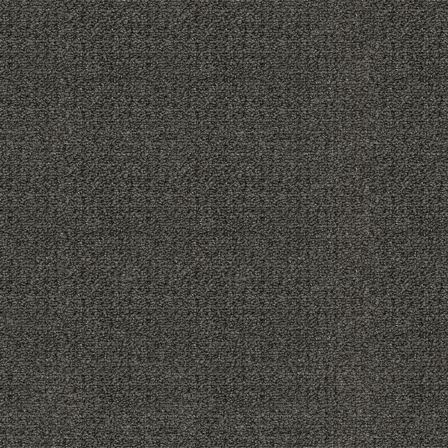 Revolution carpet in Vintage Pewter