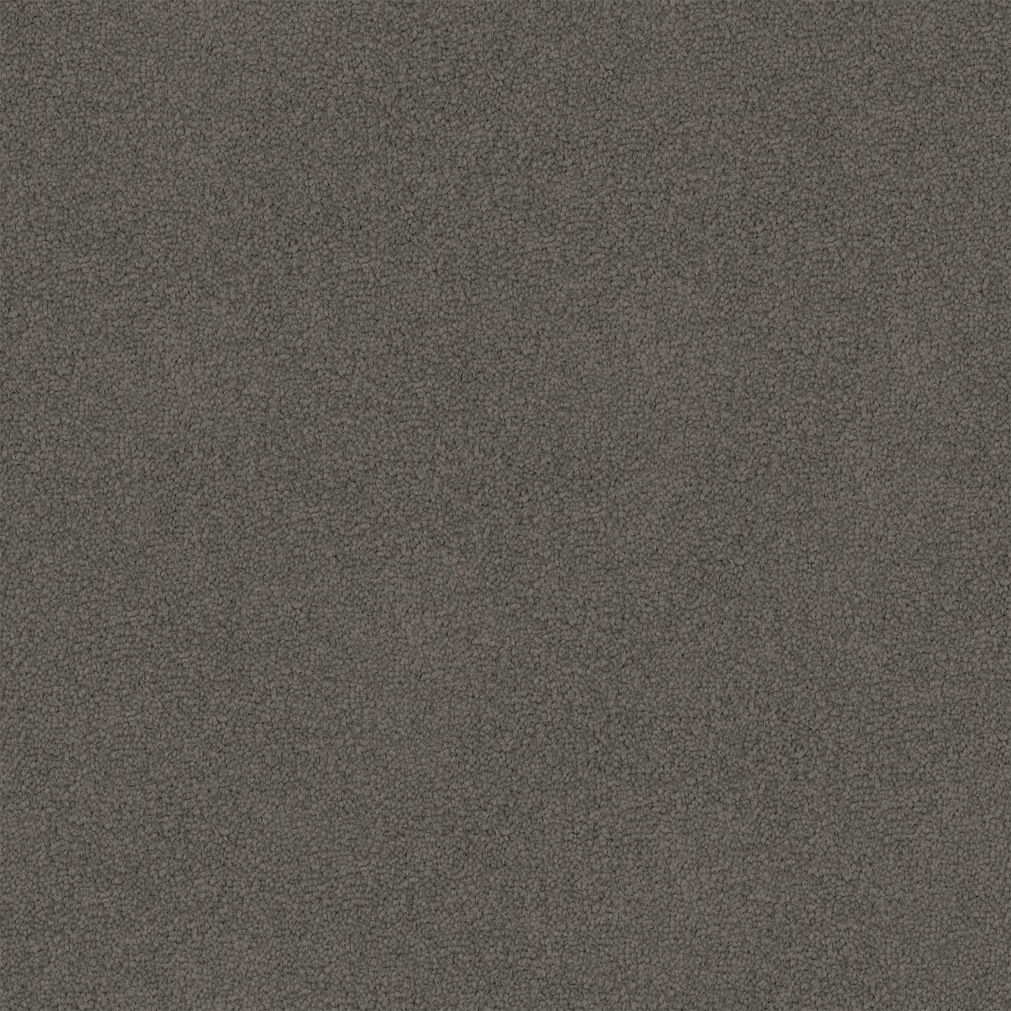 Entertaining carpet in Nightfall