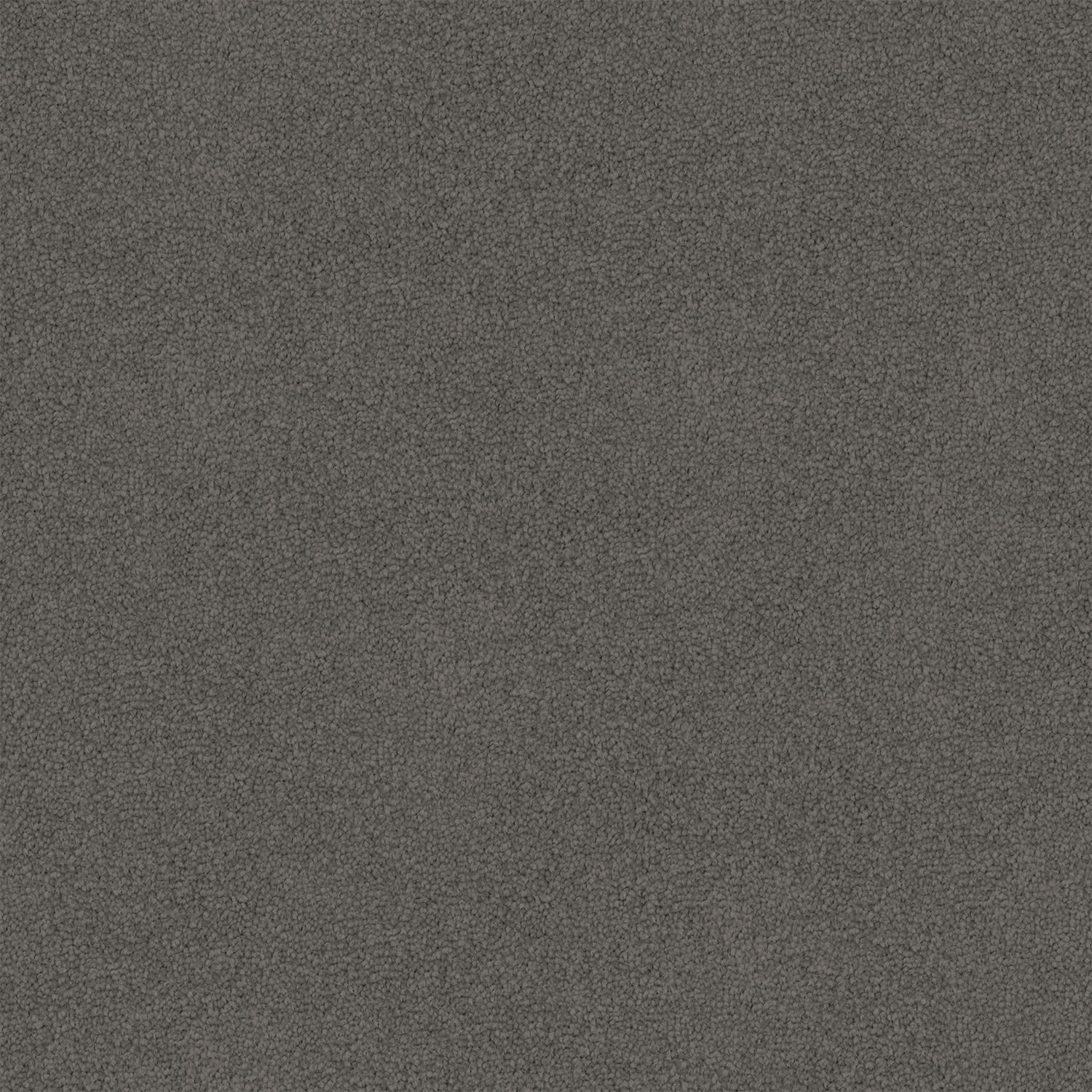 Entertaining carpet in Nightfall