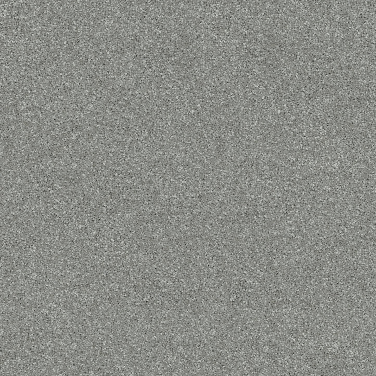 Revive carpet in Misty Grey