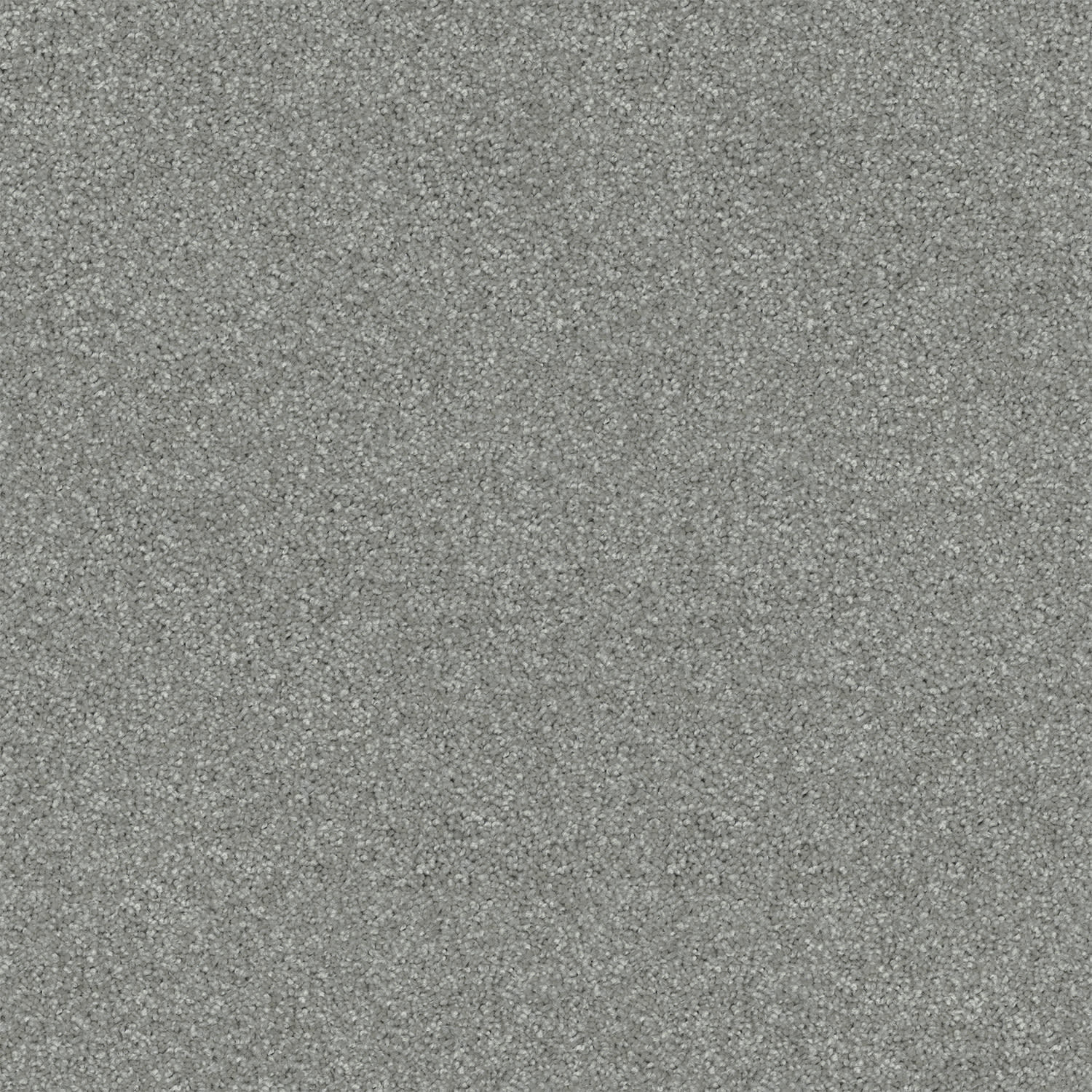 Revive carpet in Misty Grey
