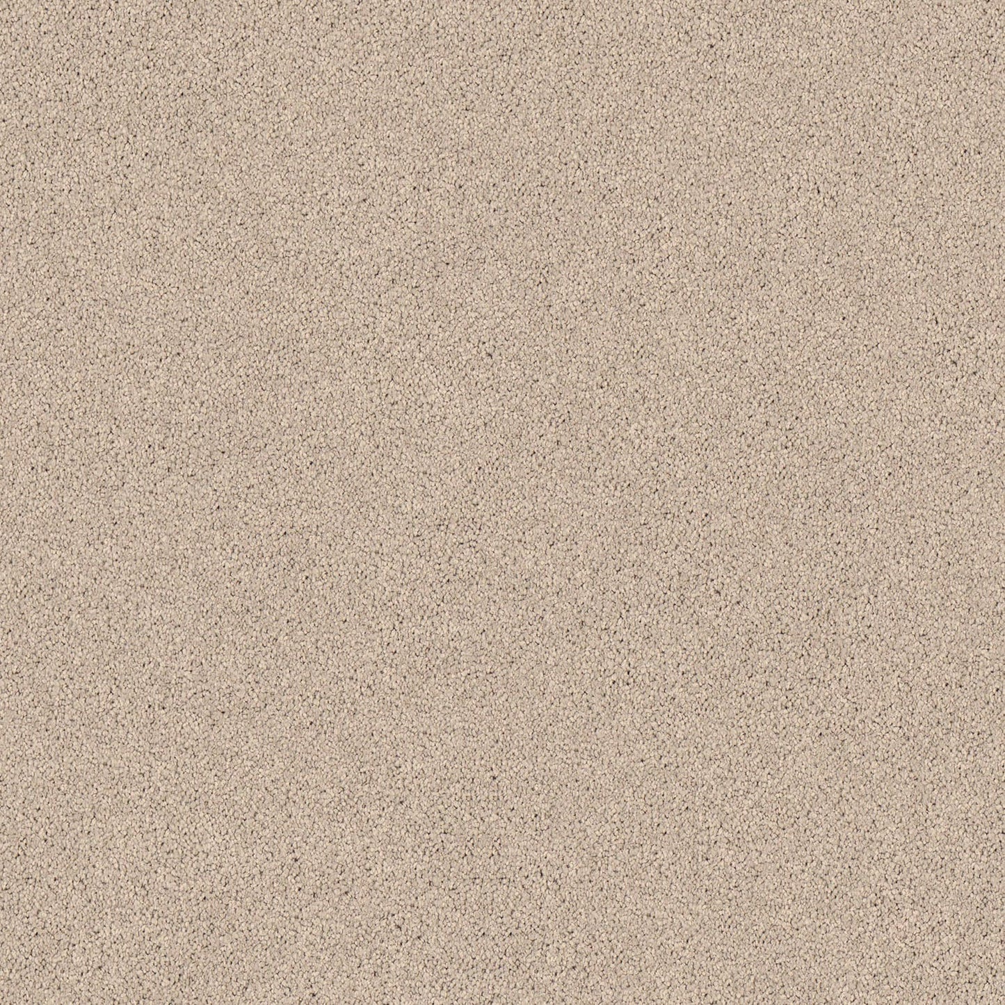 Gentle Essence carpet in Blank Canvas