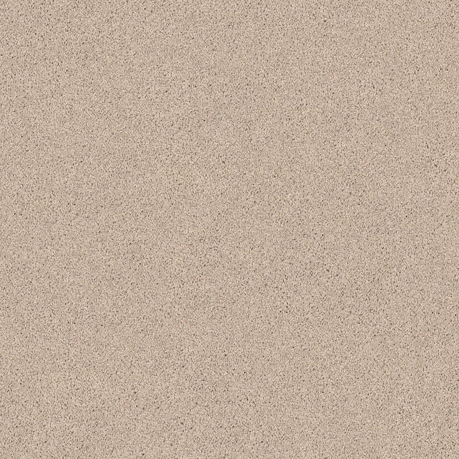 Gentle Essence carpet in Blank Canvas
