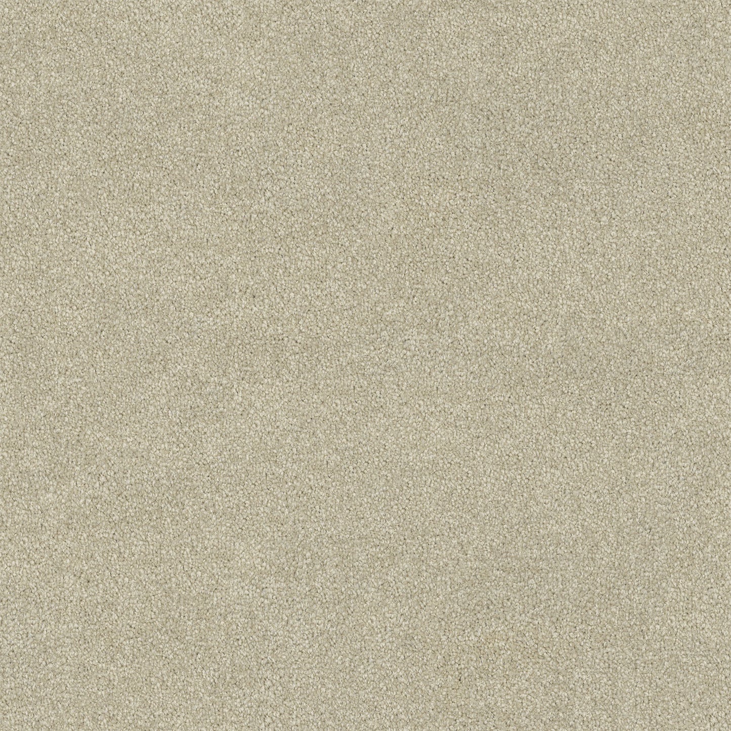 Lasting Touch carpet in Opal Glaze