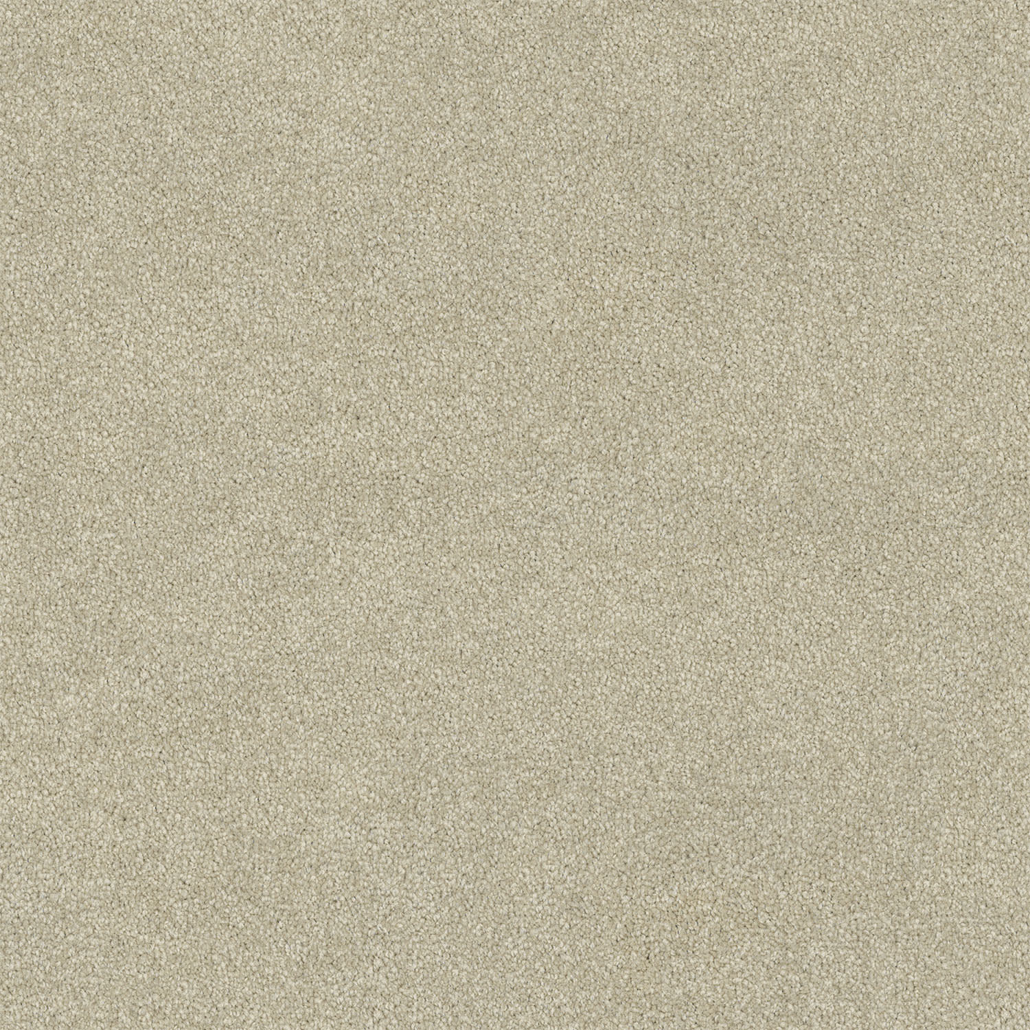Lasting Touch carpet in Opal Glaze
