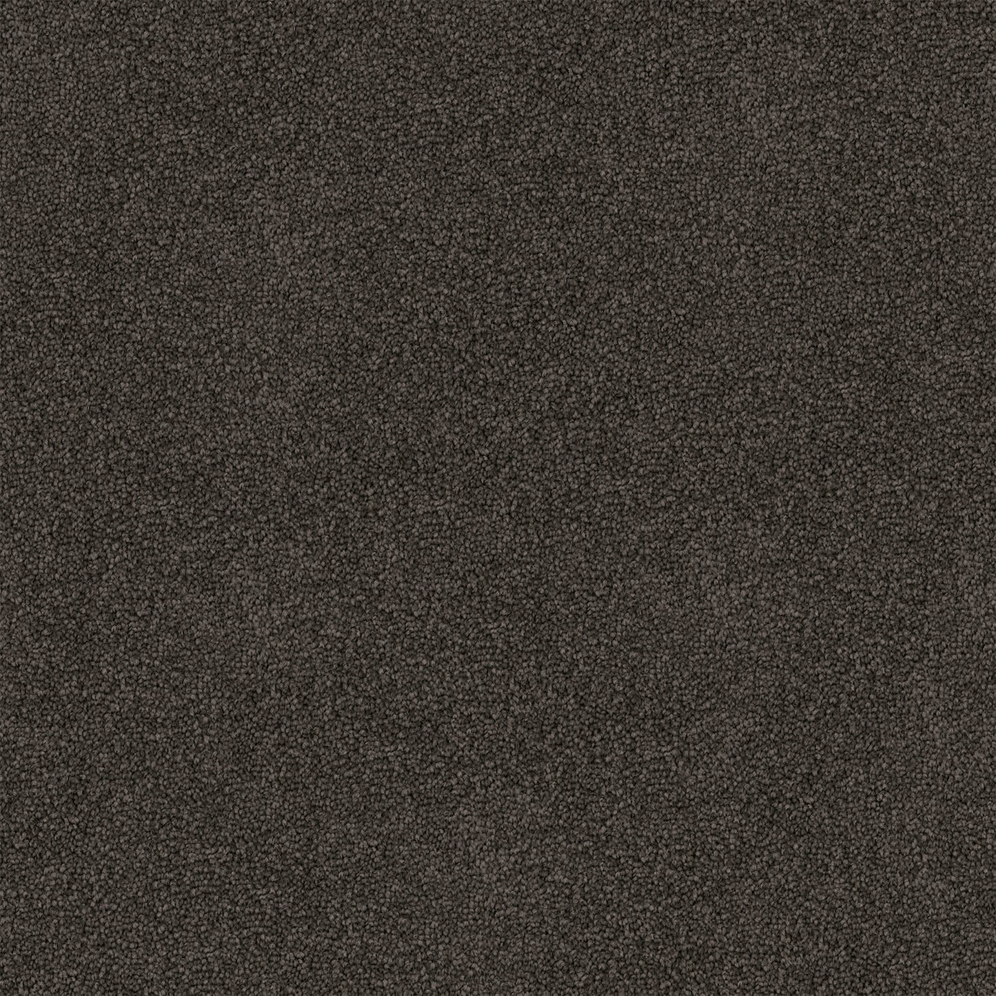 Freedom carpet in Dolomite