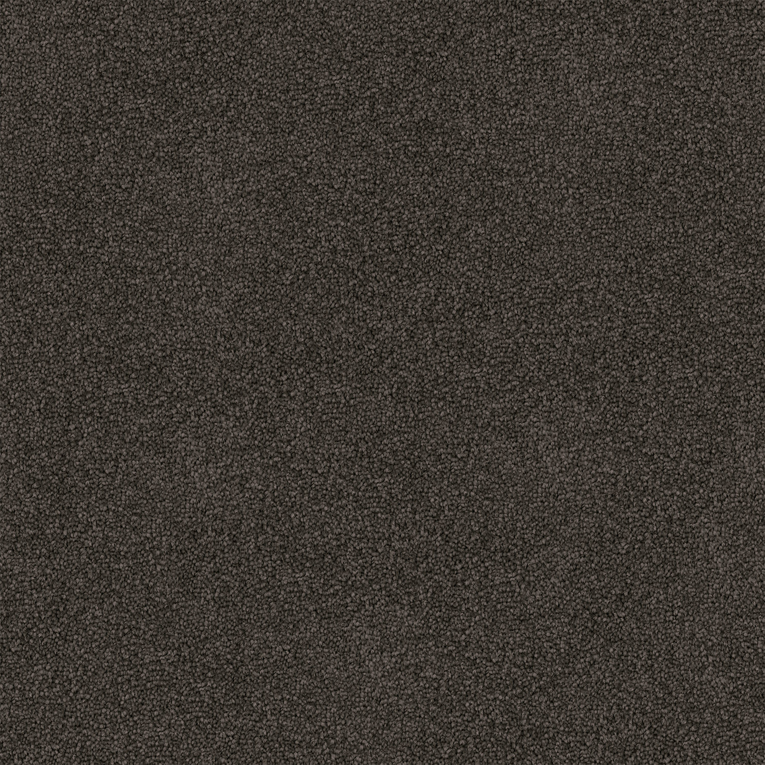 Freedom carpet in Dolomite