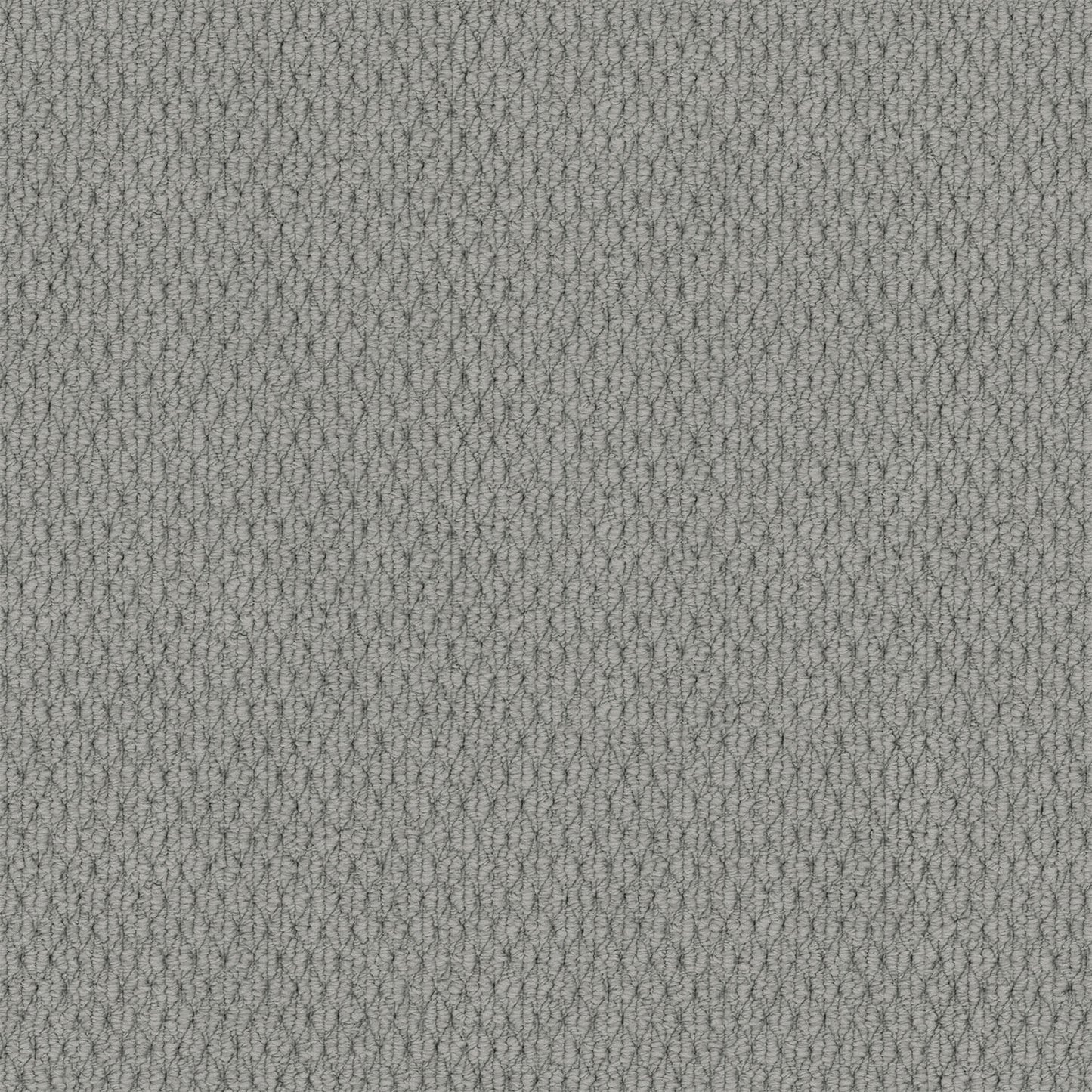 Kashmir carpet in Arctic Grey