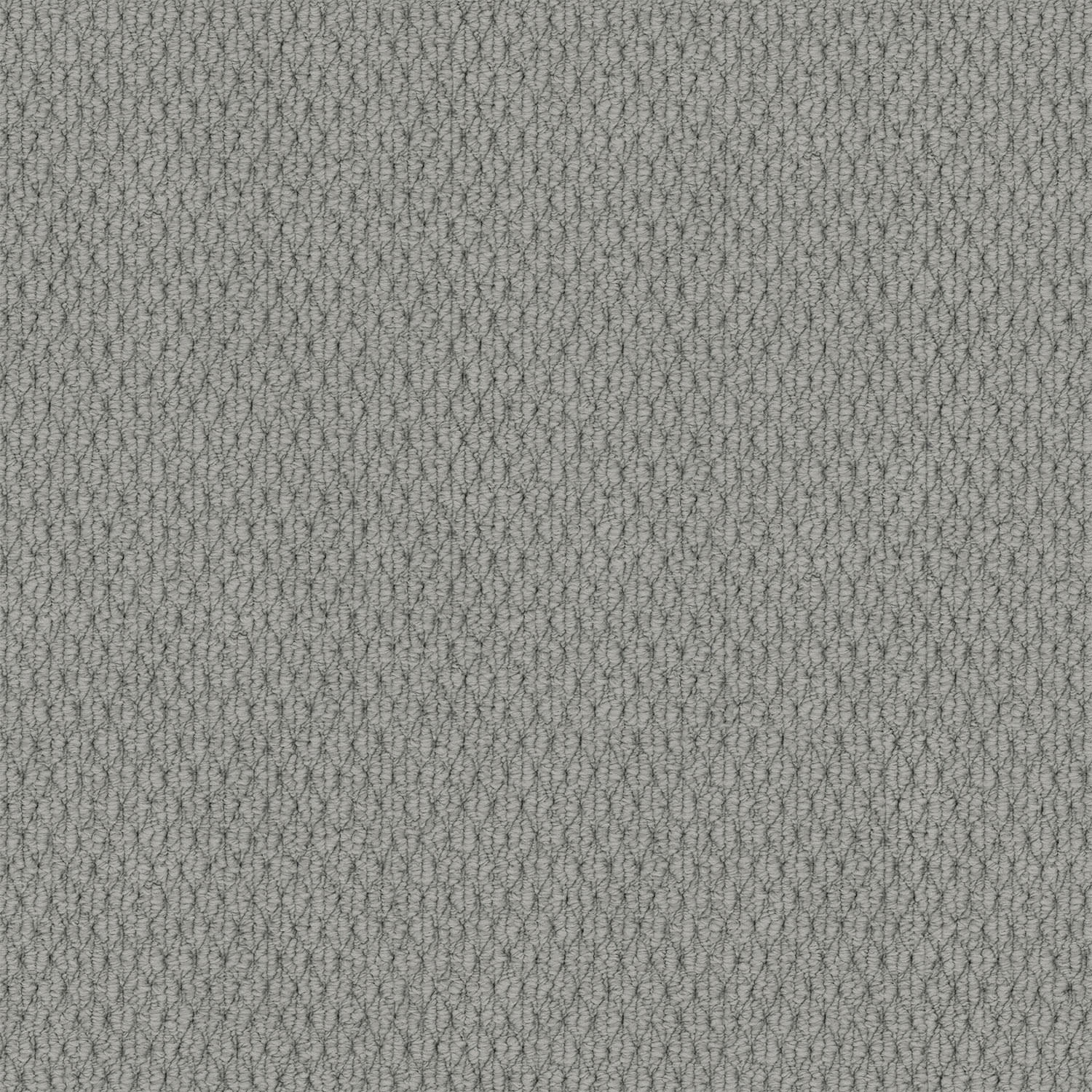 Kashmir carpet in Arctic Grey