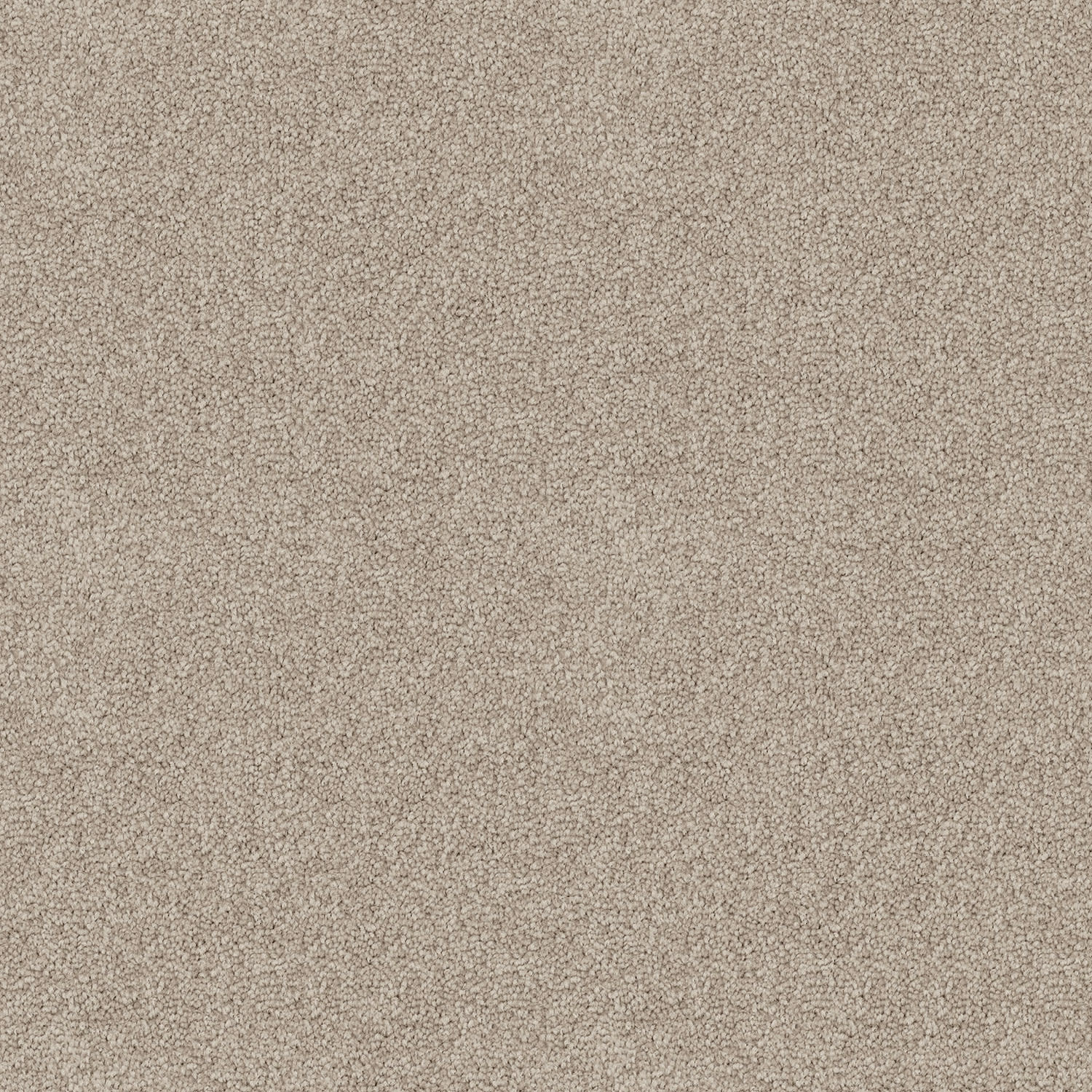 Crestview carpet in Amber