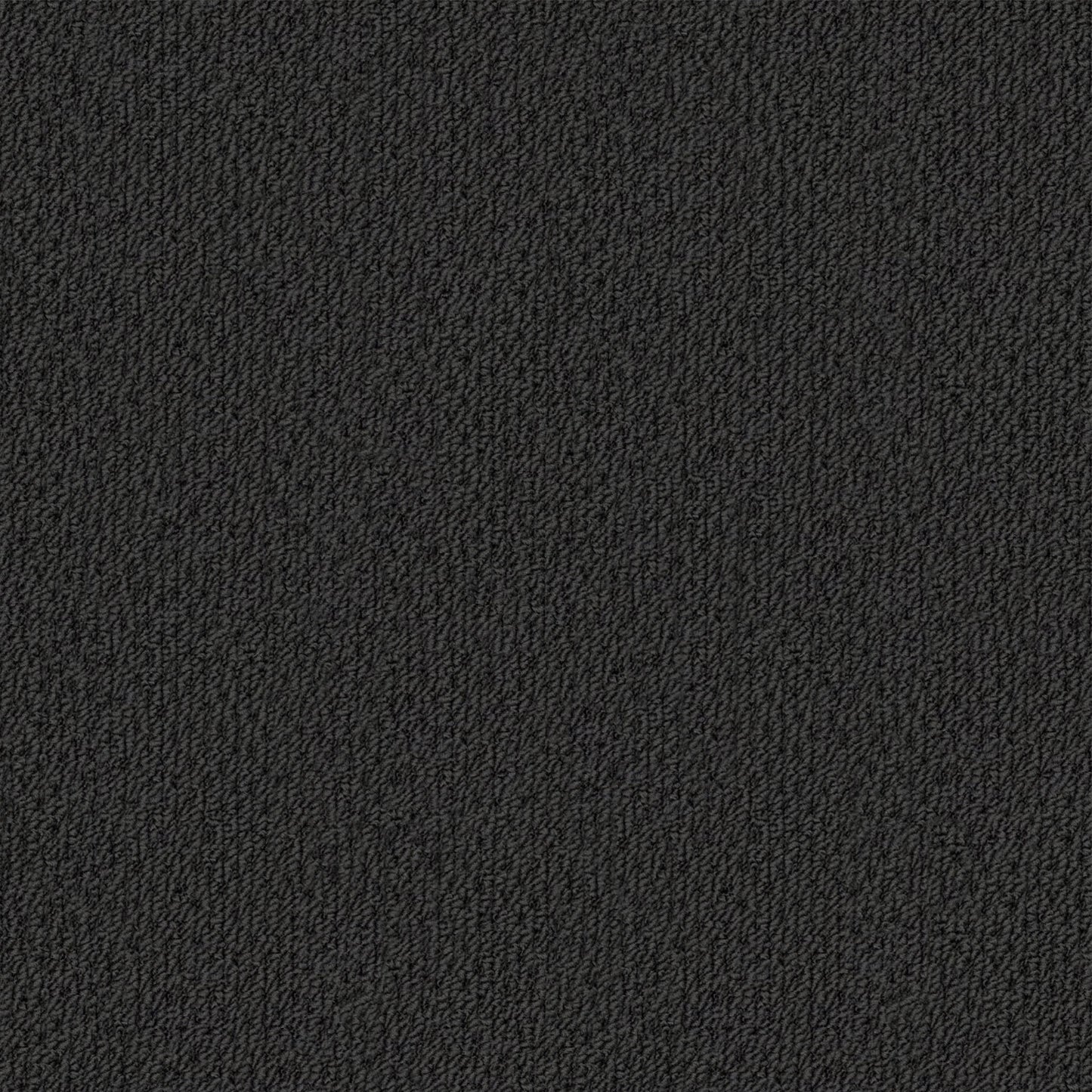 Phoenix carpet in Estrella
