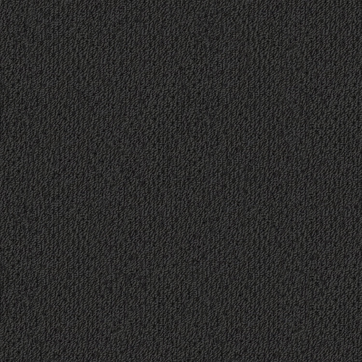 Phoenix carpet in Estrella
