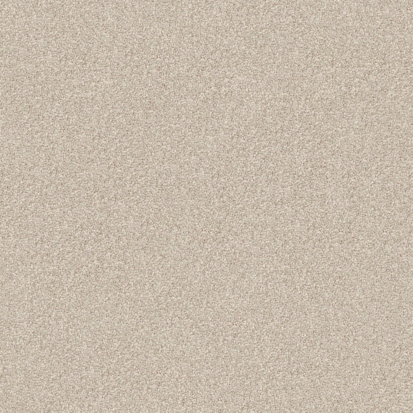 Domain Rise carpet in Toasted Coconut