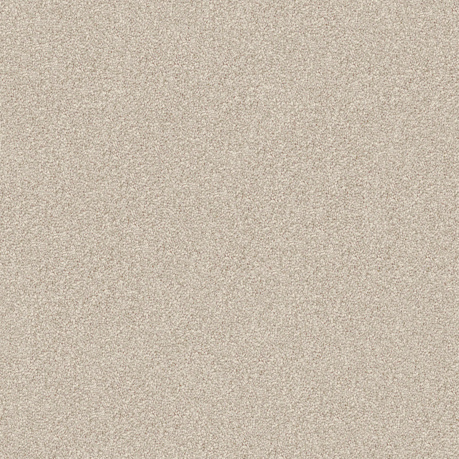 Domain Rise carpet in Toasted Coconut