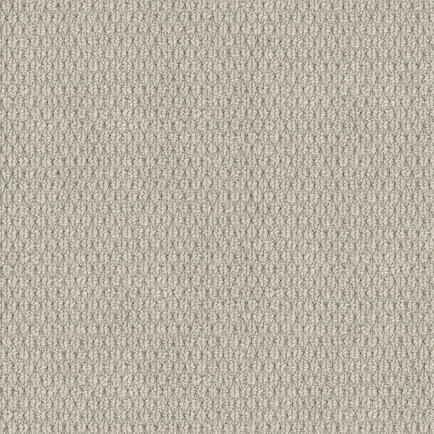 Kashmir carpet in Linen