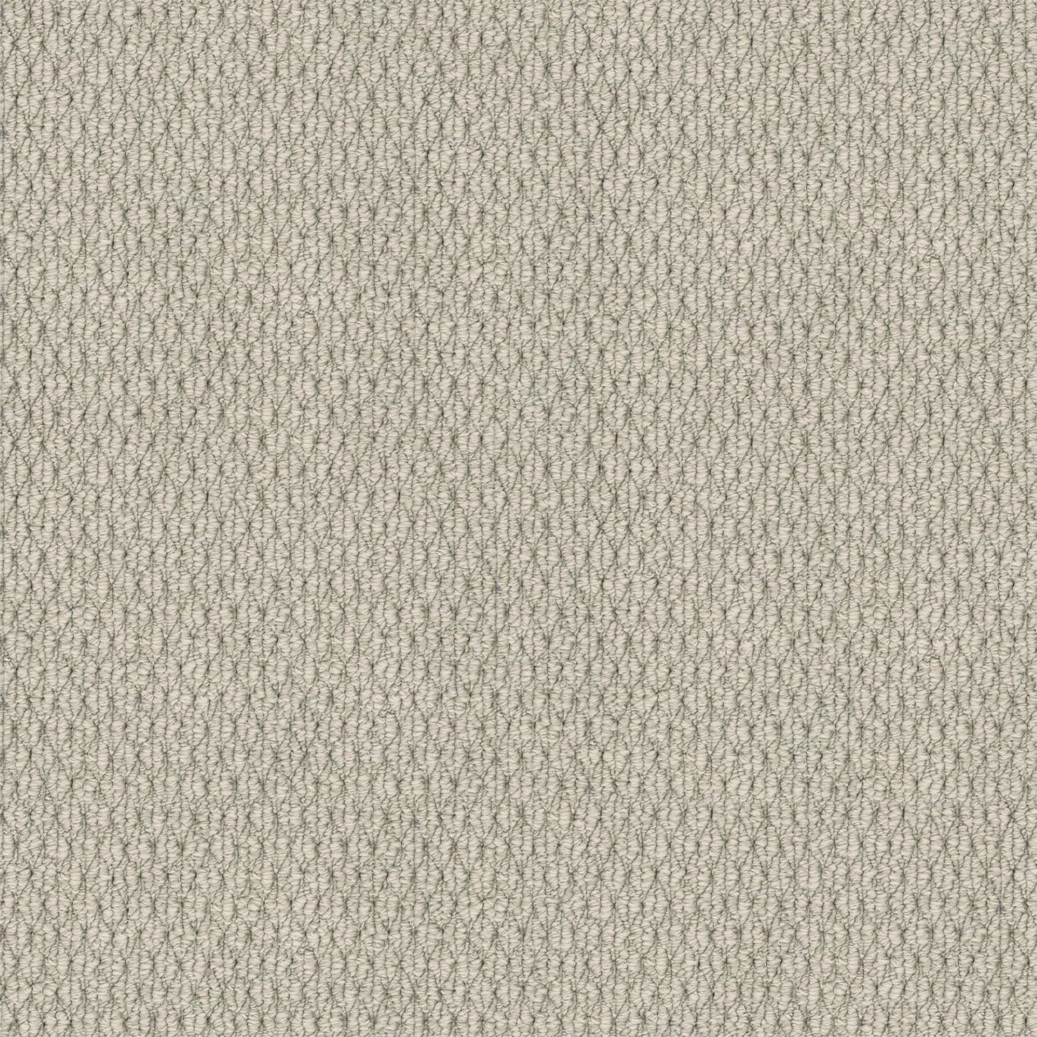 Kashmir carpet in Linen