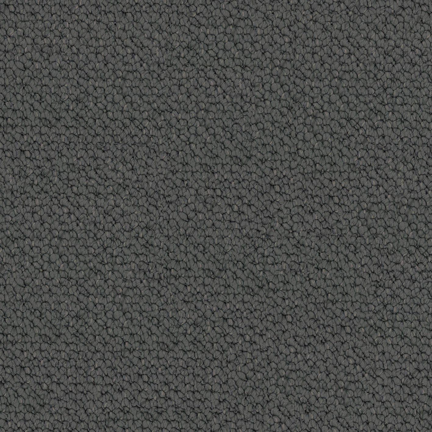 Carpathian carpet in Iron Gate