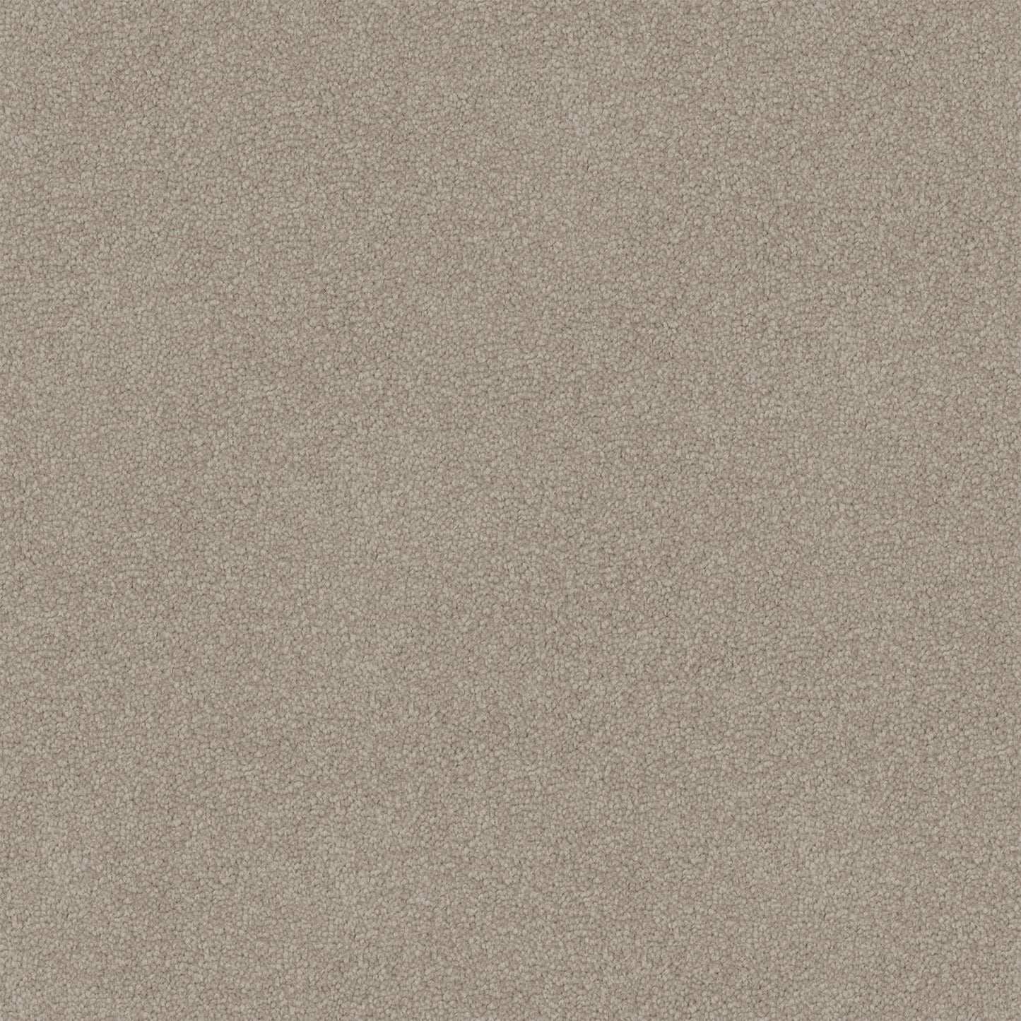 Nightfall carpet in Scroll Beige