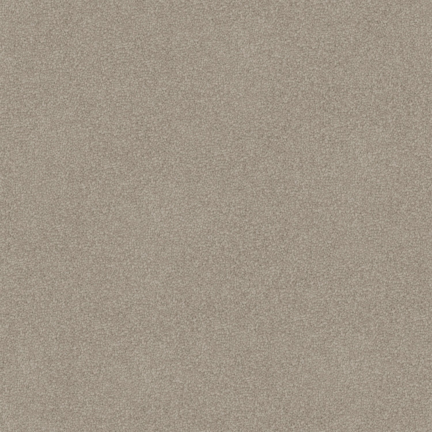 Nightfall carpet in Scroll Beige