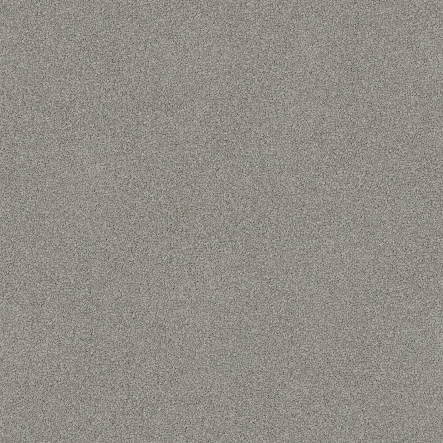 Infatuation carpet in Dugong